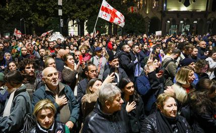 На митингах в Тбилиси заметили фальшивых грузинских протестующих