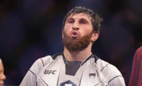 Алекс Перейра против Магомеда Анкалаева: UFC готовит титульный бой для россиянина