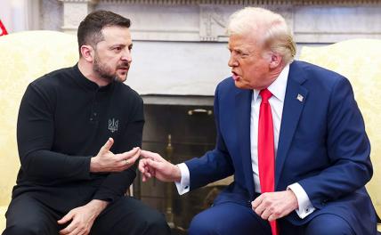 Путину рассказали о перепалке Зеленского и Трампа
