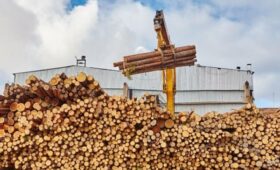 Алиханов заявил о решении проблемы с долгами Segezha Group