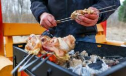 Россиянам рассказали, как готовить шашлык без вреда для здоровья
